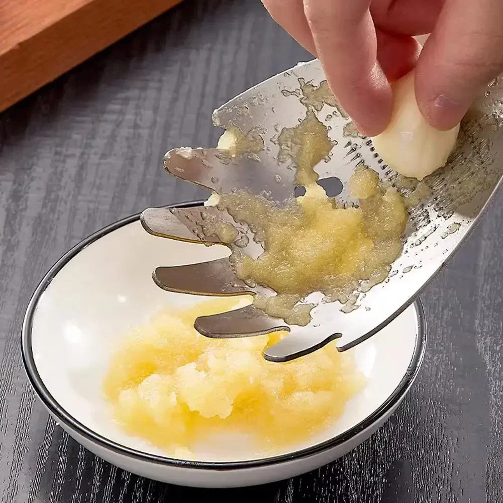 Multifunctional Stainless Steel Ginger Garlic Grater Spoon – Zyphoriaas