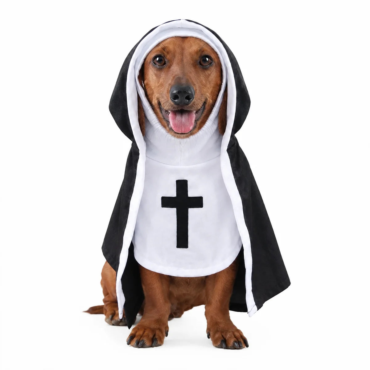 Holy Pet Costume™