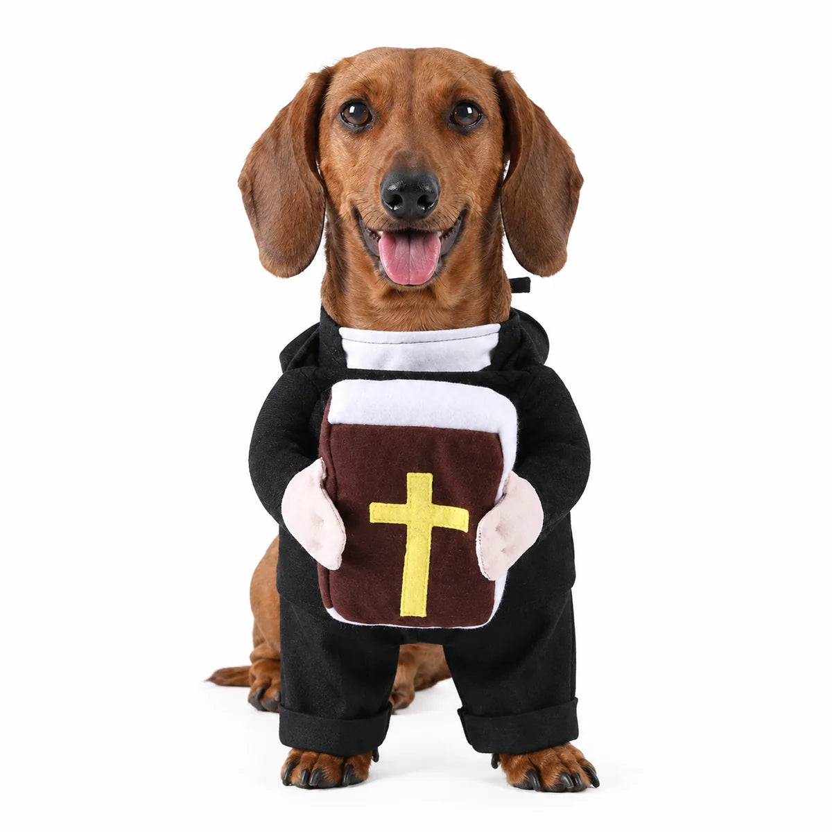 Holy Pet Costume™